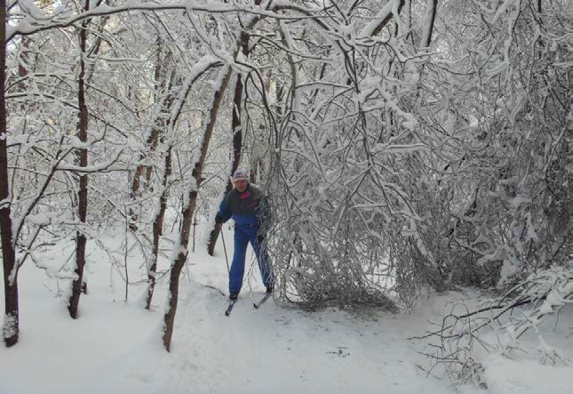 Возвращение блудного сына - i_017.jpg