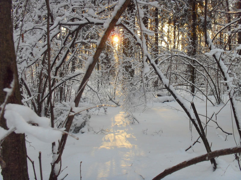 Возвращение блудного сына - i_023.jpg