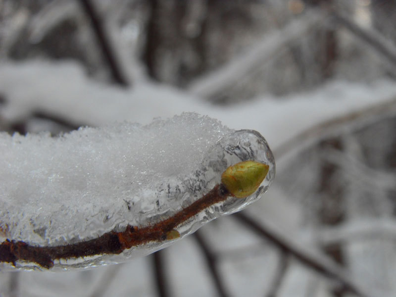 Возвращение блудного сына - i_027.jpg