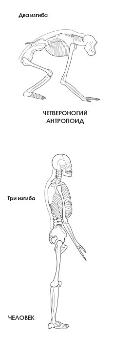 Диагностика и лечение позвоночника. Уникальная система доктора А. М. Уриа - i_003.jpg