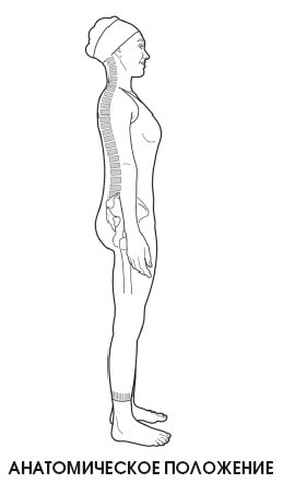 Диагностика и лечение позвоночника. Уникальная система доктора А. М. Уриа - i_014.jpg