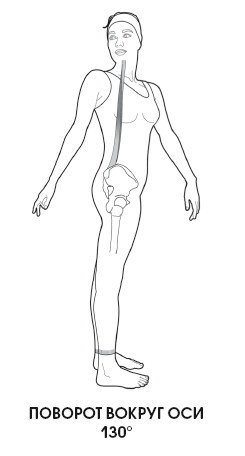 Диагностика и лечение позвоночника. Уникальная система доктора А. М. Уриа - i_018.jpg