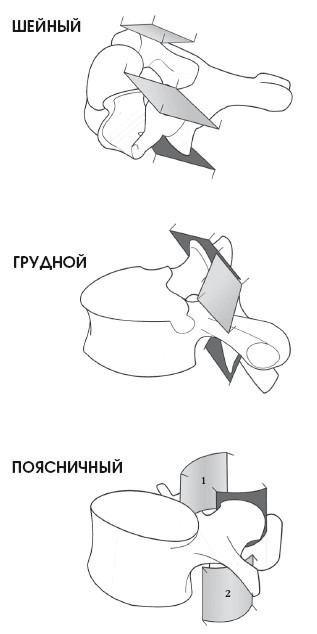 Диагностика и лечение позвоночника. Уникальная система доктора А. М. Уриа - i_033.jpg