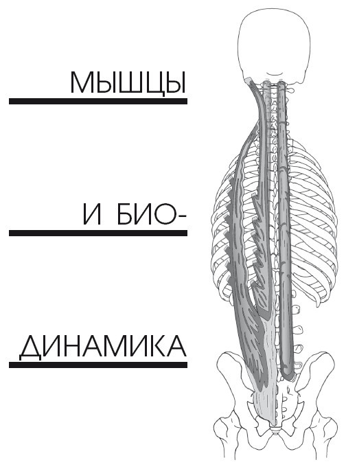 Диагностика и лечение позвоночника. Уникальная система доктора А. М. Уриа - i_089.jpg