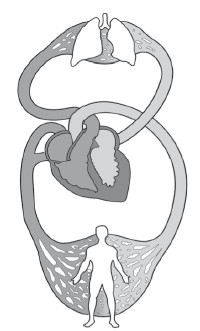 Диагностика и лечение позвоночника. Уникальная система доктора А. М. Уриа - i_095.jpg