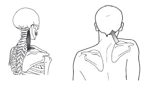 Диагностика и лечение позвоночника. Уникальная система доктора А. М. Уриа - i_109.jpg