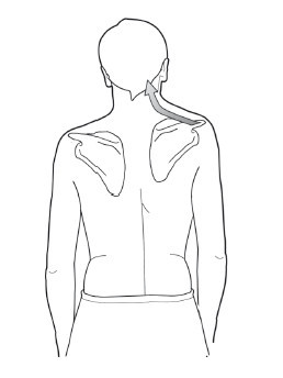 Диагностика и лечение позвоночника. Уникальная система доктора А. М. Уриа - i_112.jpg