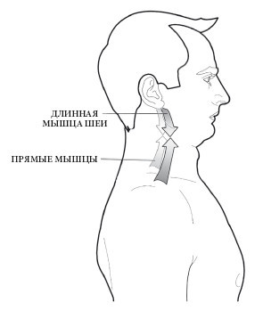 Диагностика и лечение позвоночника. Уникальная система доктора А. М. Уриа - i_118.jpg