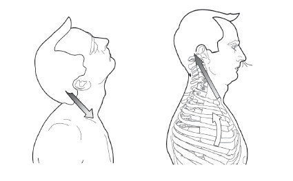 Диагностика и лечение позвоночника. Уникальная система доктора А. М. Уриа - i_147.jpg