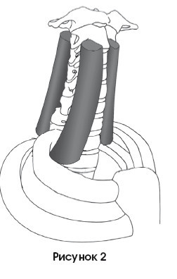 Диагностика и лечение позвоночника. Уникальная система доктора А. М. Уриа - i_154.jpg