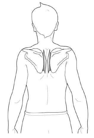 Диагностика и лечение позвоночника. Уникальная система доктора А. М. Уриа - i_164.jpg