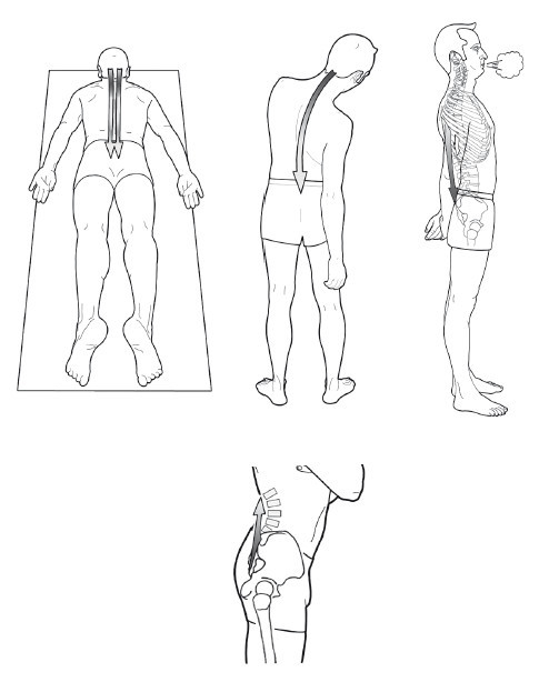 Диагностика и лечение позвоночника. Уникальная система доктора А. М. Уриа - i_169.jpg