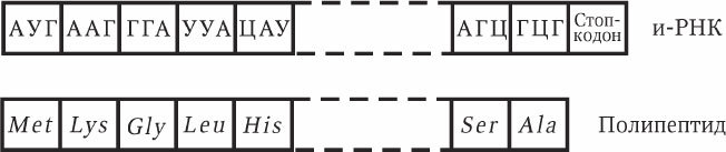 Антропология и концепции биологии - _14.jpg