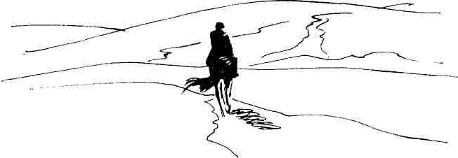 Колокольчик в тайге - img_13.jpeg