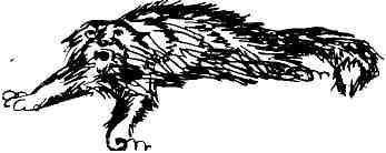 Колокольчик в тайге - img_9.jpeg