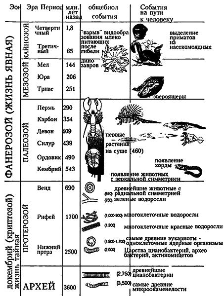 Эволюция для всех, или Путь кентавра - _01.png