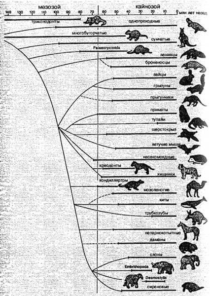 Эволюция для всех, или Путь кентавра - _08.jpg