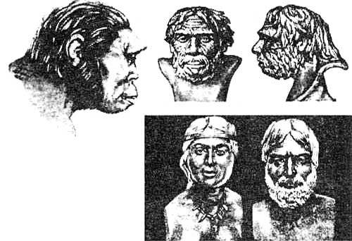 Эволюция для всех, или Путь кентавра - _21.jpg