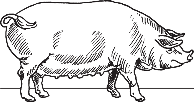 Фермерское хозяйство. Доступное и успешное - i_009.png