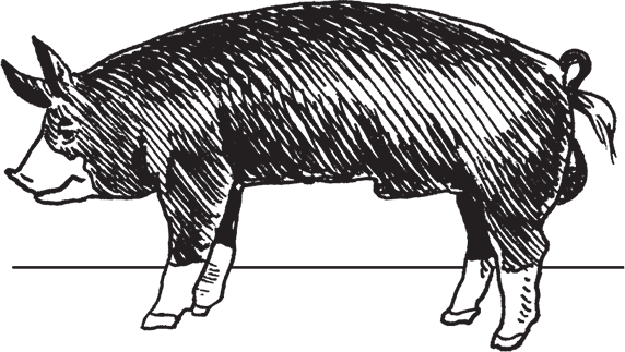 Фермерское хозяйство. Доступное и успешное - i_011.png