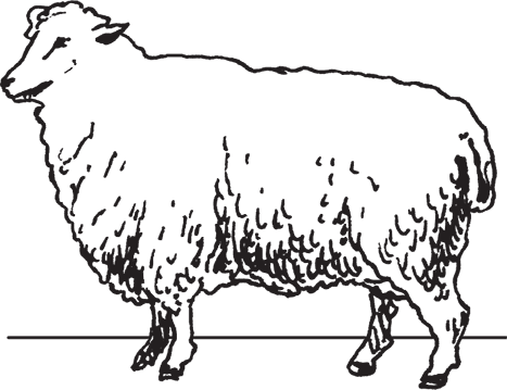 Фермерское хозяйство. Доступное и успешное - i_015.png