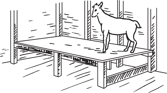 Фермерское хозяйство. Доступное и успешное - i_022.png