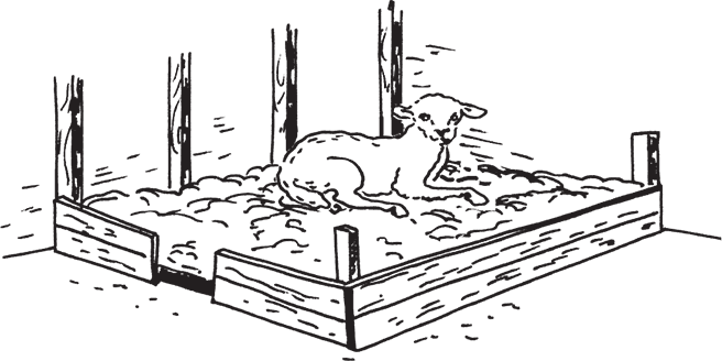 Фермерское хозяйство. Доступное и успешное - i_023.png