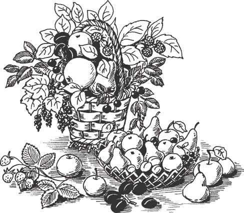 Секреты плодородной почвы. Самые эффективные удобрения - i_001.png