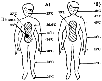 Теория бань - i_023.png