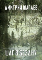 Шаг в бездну - автор Шагаев Дмитрий 