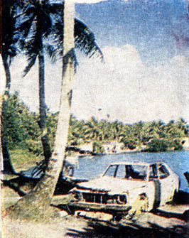 Люди и атоллы - i_023.jpg