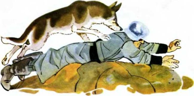 Север, фас! - i_005.jpg