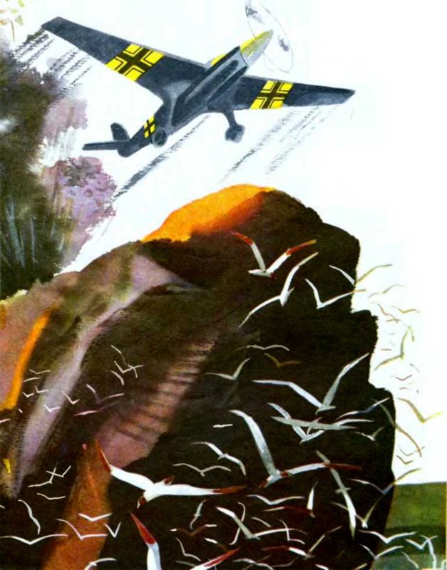 Север, фас! - i_010.jpg