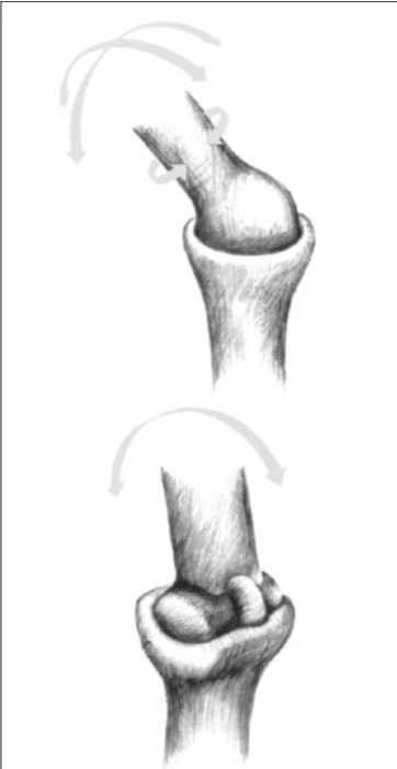 Равновесие в движении. Посадка всадника - i_007.jpg
