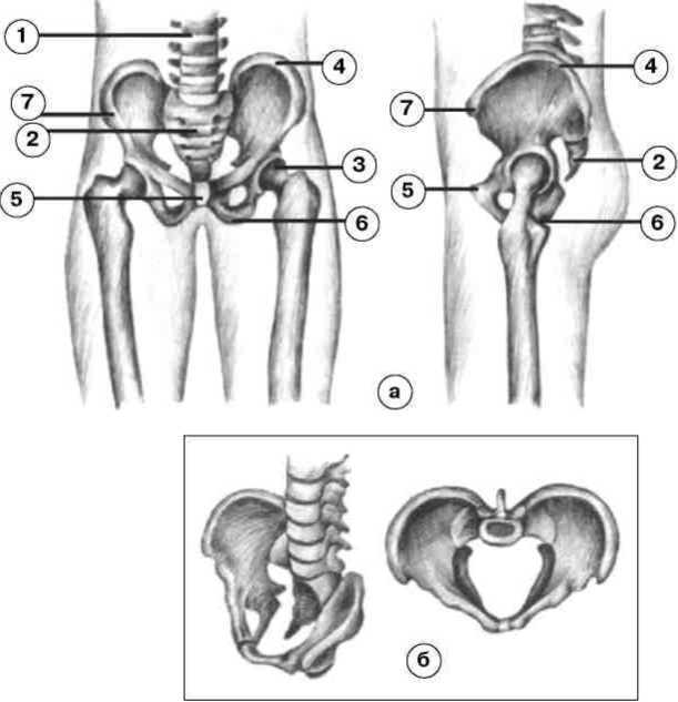 Равновесие в движении. Посадка всадника - i_014.jpg