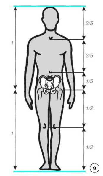Равновесие в движении. Посадка всадника - i_015.jpg