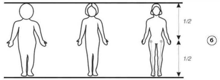 Равновесие в движении. Посадка всадника - i_016.jpg