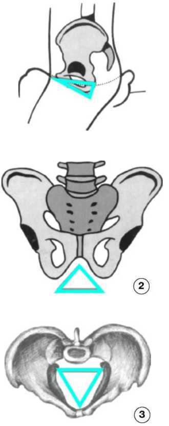 Равновесие в движении. Посадка всадника - i_019.jpg