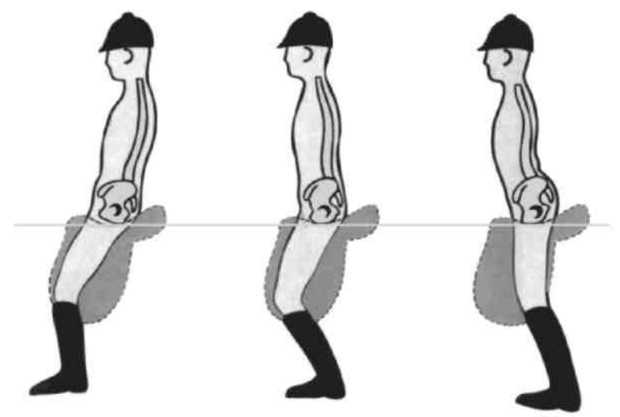 Равновесие в движении. Посадка всадника - i_026.jpg