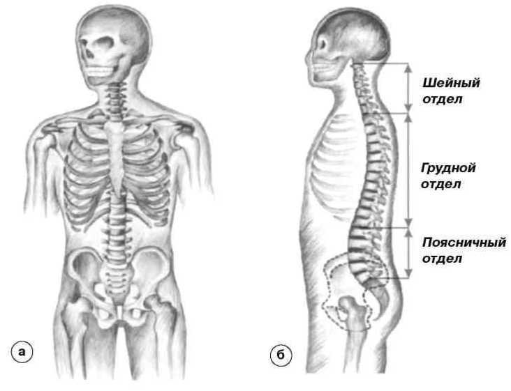 Равновесие в движении. Посадка всадника - i_028.jpg