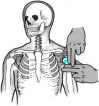 Равновесие в движении. Посадка всадника - i_034.jpg