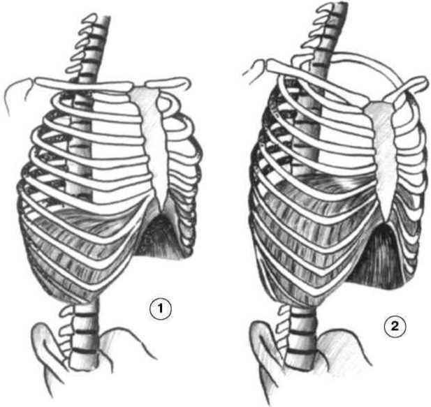 Равновесие в движении. Посадка всадника - i_035.jpg