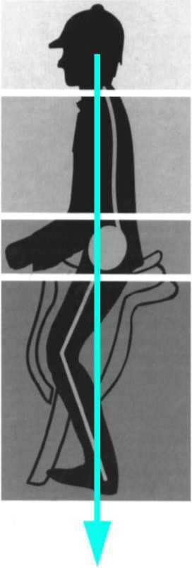 Равновесие в движении. Посадка всадника - i_036.jpg