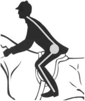 Равновесие в движении. Посадка всадника - i_037.jpg