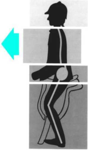 Равновесие в движении. Посадка всадника - i_040.jpg