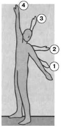 Равновесие в движении. Посадка всадника - i_074.jpg