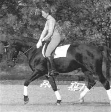 Равновесие в движении. Посадка всадника - i_079.jpg