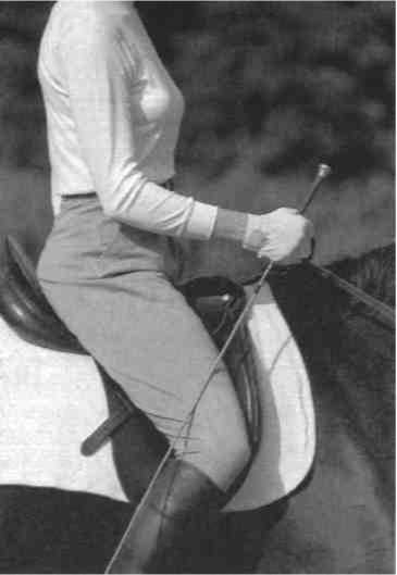 Равновесие в движении. Посадка всадника - i_082.jpg