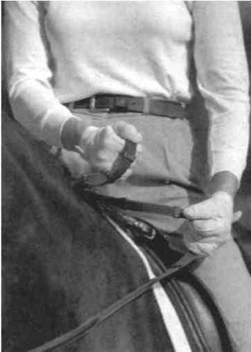 Равновесие в движении. Посадка всадника - i_084.jpg