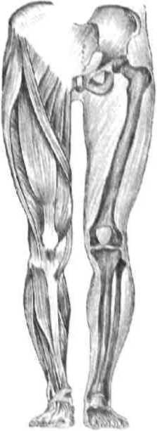 Равновесие в движении. Посадка всадника - i_087.jpg